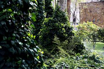 بهار در قاب دانشگاه علوم بهزیستی و توانبخشی